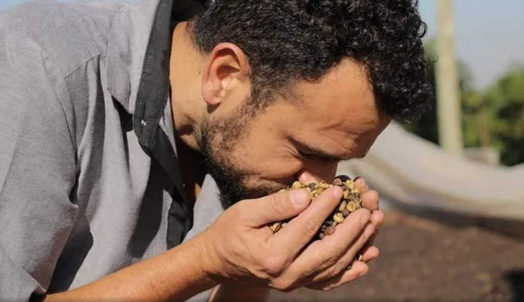 tarifaco-dos-eua-ja-pressiona-o-agro-na-regiao;-cafe-resiste,-pecuaria-recua