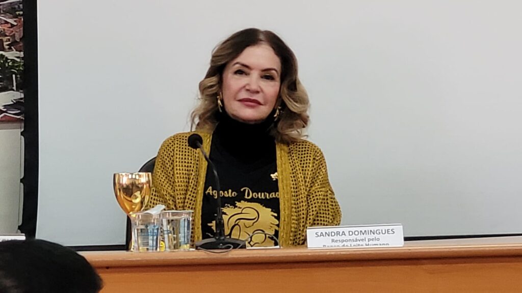 ‘peito-de-mae-nao-e-deposito,-e-fabrica’,-diz-coordenadora-do-banco-de-leite